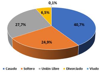 Gráfico con la distribución de casos formalizados por estado civil del deudor.